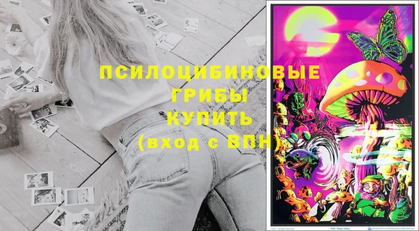 тгк Верея