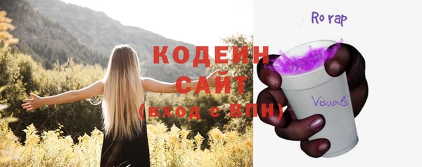 шишки Верхний Тагил