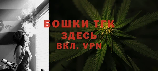 шишки Верхний Тагил