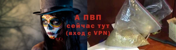 тгк Верея