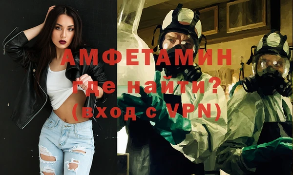 шишки Верхний Тагил