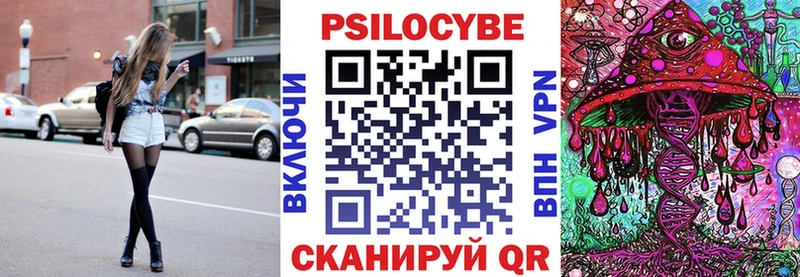 хочу наркоту  Вихоревка  Галлюциногенные грибы Psilocybe 